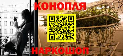 мяу мяу мука Надым