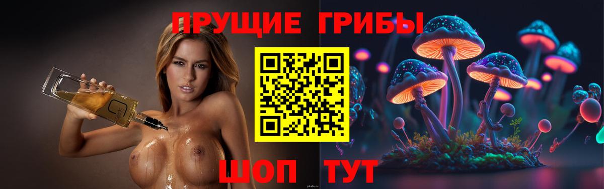 Балашиха  Псилоцибиновые грибы ЛСД  Псилоцибиновые грибы Magic Shrooms  Вход с VPN 